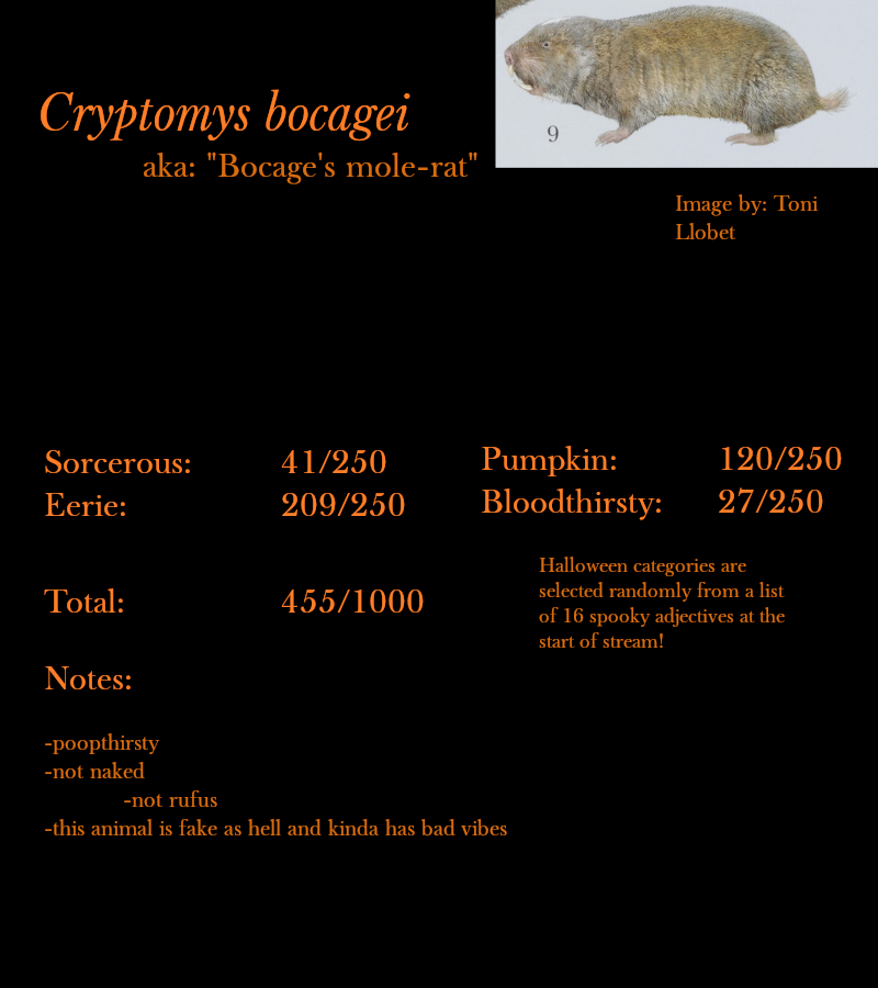 Cryptomys bocagei